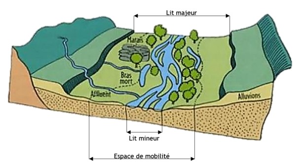 schema_emf